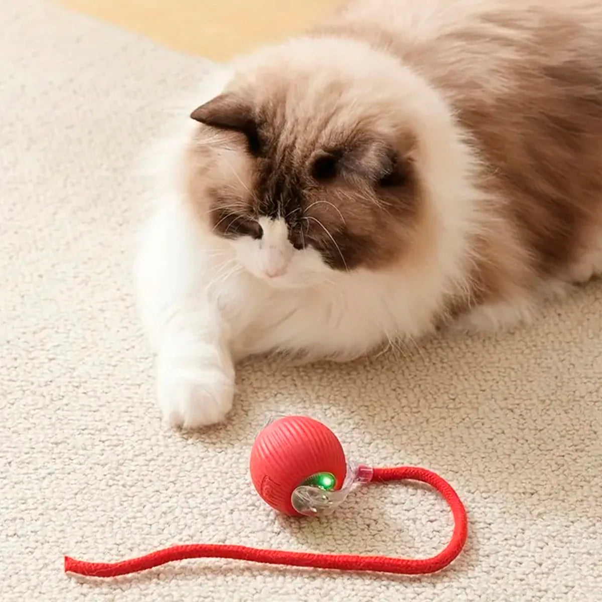 🐶 INSTINKAN™ – Mantén a tu perro relajado, feliz y satisfecho 🐶